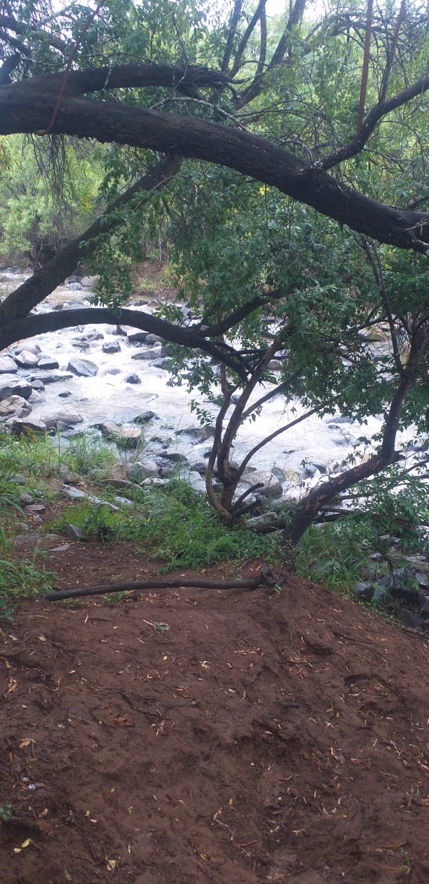 5 Bedroom Property for Sale in Swartruggens North West